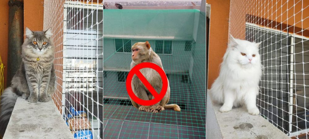 Monkey Safety Nets for Balconies in Bangalore