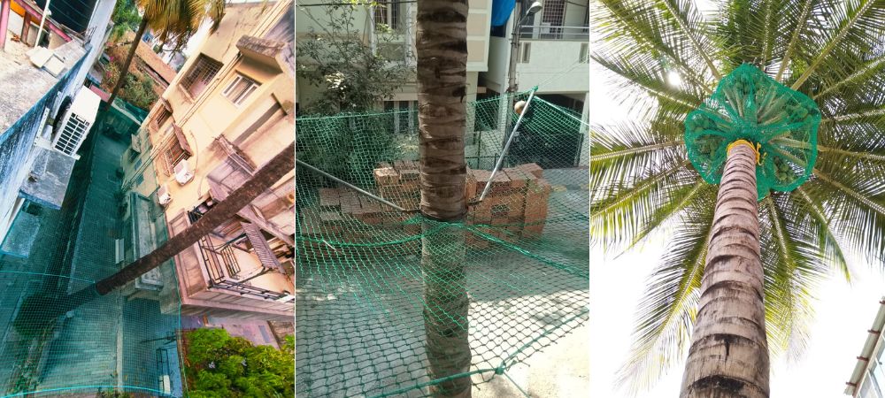 Coconut Tree Safety Nets in Bangalore